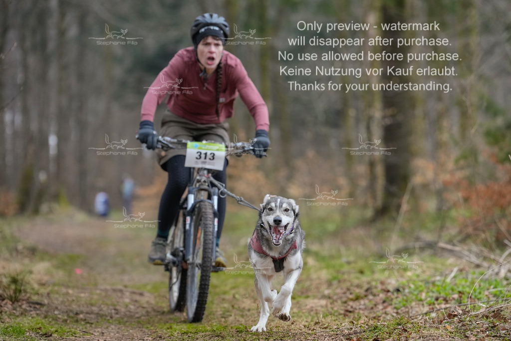 BikekurzSa-133 | stephaniefillaphotographie - Realisiert mit Pictrs.com
