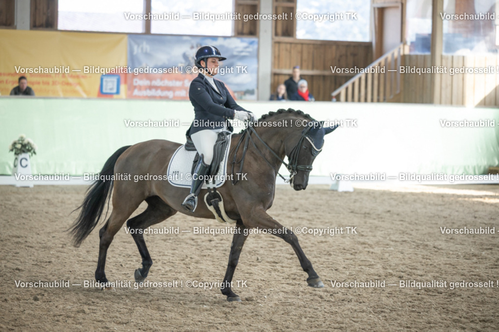 _D5A2860 | Emotionale Pferde- & People-Fotografie rund um Heidelberg, Leimen & Umgebung. Natürliche Fotos von Pferd, Mensch & Familie. Jetzt Termin sichern!