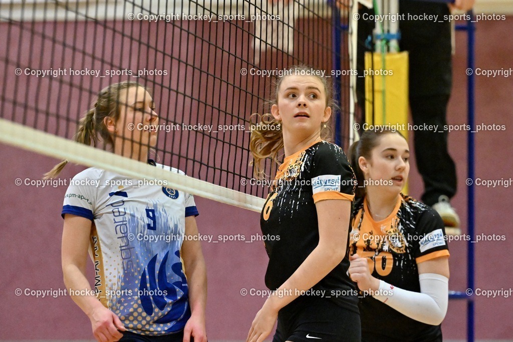 ASKÖ Volley Eagles vs. SSV HIB Volley 21.1.2024 | #9 Ann-Christina SCHMITZ, #6 Zuzana Emma PREININGER, #50 Madlen NUSSER