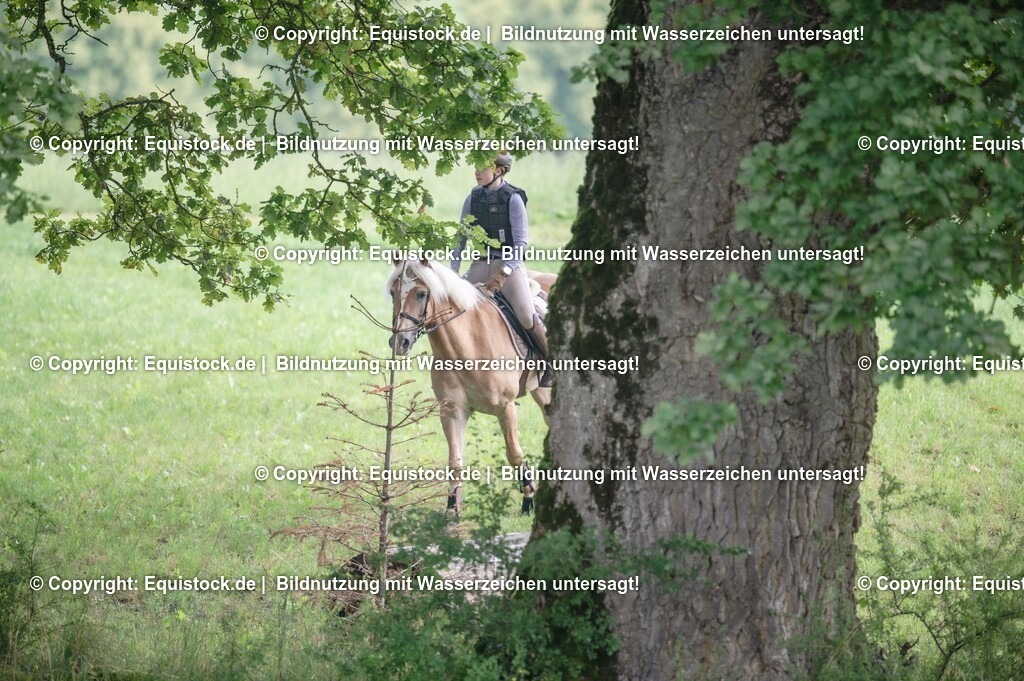 20250726_Vielseitigkeitslehrgang-Marbach_0113 | Foto: Thomas Hartig