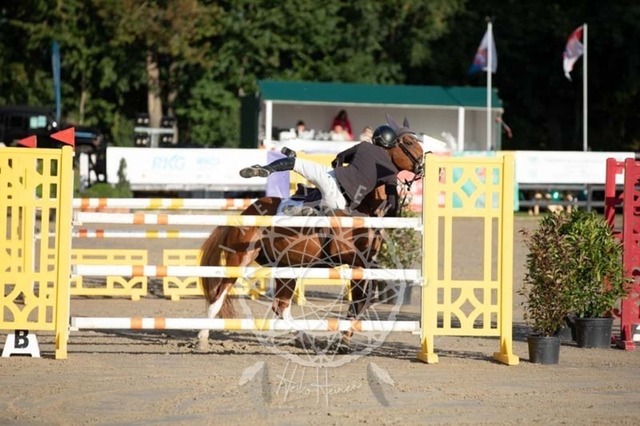 2B4A0952 | pixelfaenger - Realisiert mit Pictrs.com