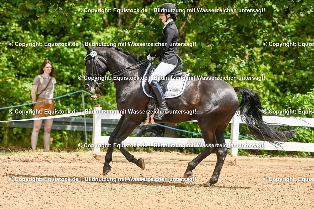 20230716_01_Dressurprüfung Kl.M_0037 | equistock