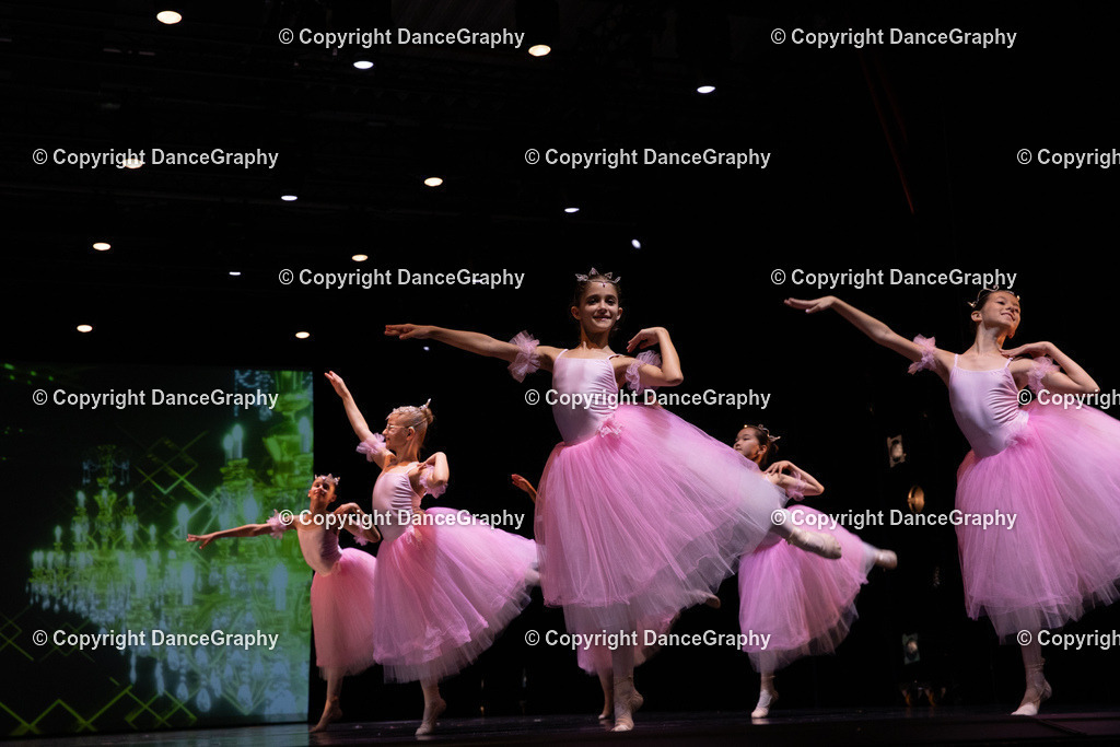 GPHY6727 | DanceGraphy - Realisiert mit Pictrs.com