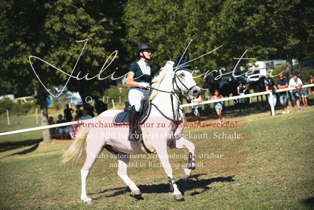 DSC_7270 | Pferde- und Turnierfotografie in Westsachsen. Pferdeportraits, Auftragszeichnungen und intuitive Kunst.