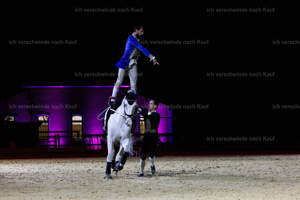 FHClassics-215 | working equitationturnier fotograf videograf stoibphotography marixx film working equitation deutschland reitsport turnierfotografie eventfotografie equestrian events