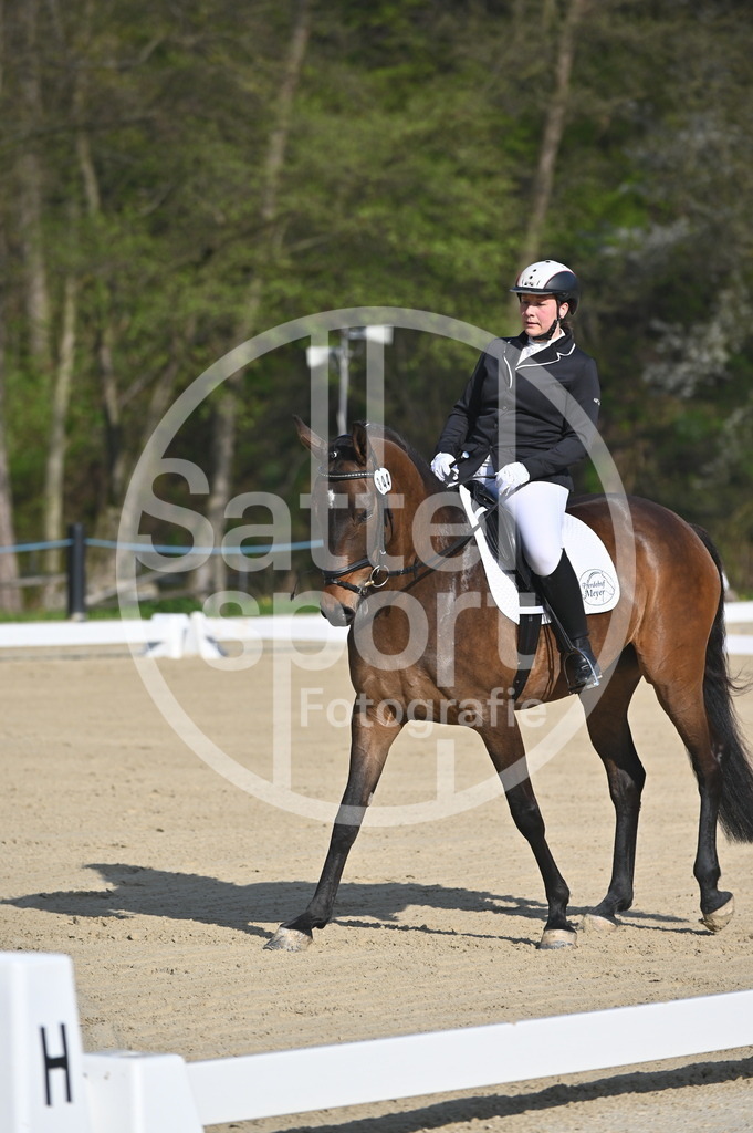 DSC_9982 | sattelsport - Realisiert mit Pictrs.com