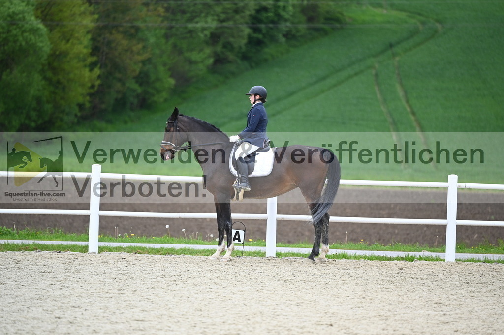 DSC_0274 | equestrian-live-com