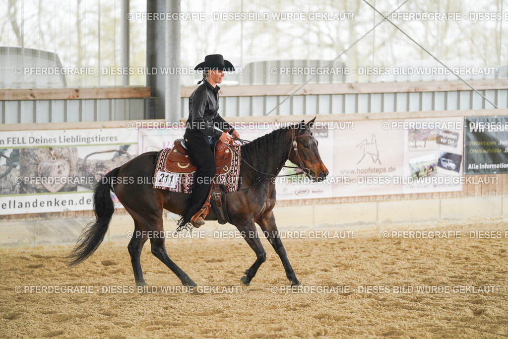 DSC04500 | Pferdegrafie