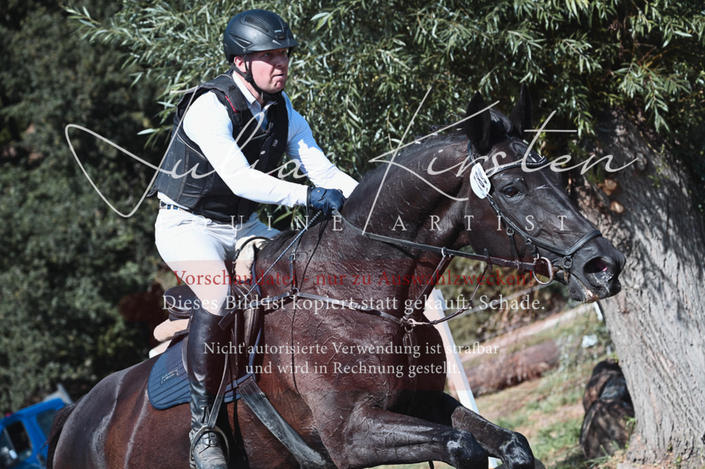 DSC_8485 | Pferde- und Turnierfotografie in Westsachsen. Pferdeportraits, Auftragszeichnungen und intuitive Kunst.