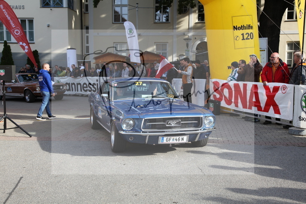 IMG_1453 | Gerhard Witt