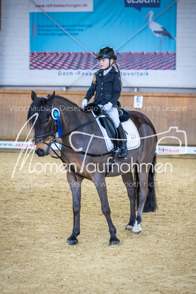 Sth-WBO25-RWBST-031 | MomenTaufnahmen Pferdesportfotos