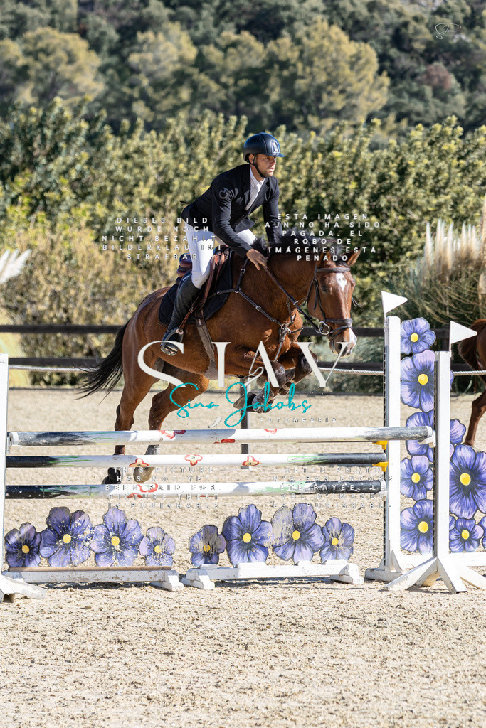 IMG_0278 | s-jay-photography - Realisiert mit Pictrs.com