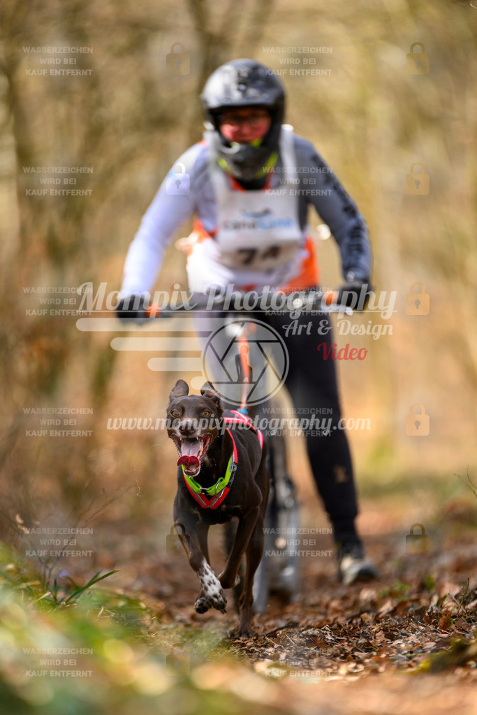 MompixPhotography_ReiatRennen2024_SO_DS1-37 | PayLife