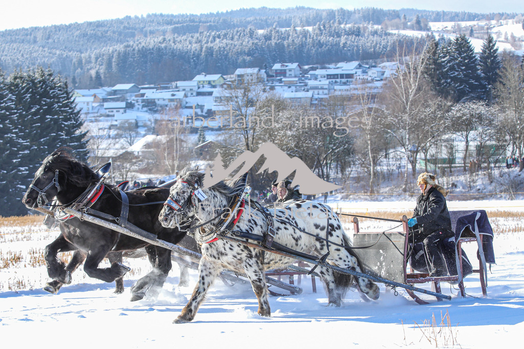 OE7A9847 | Medien- Sport- Entertainmentfotos