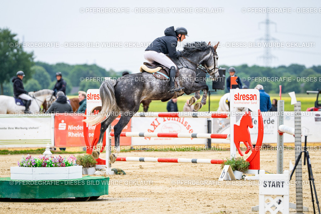 DSC06748 | Pferdegrafie