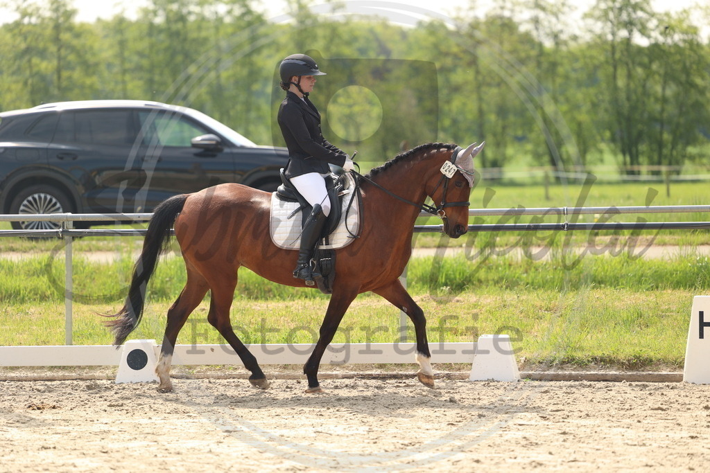 994A6782 | sabrinanicolaifotografie - Realisiert mit Pictrs.com