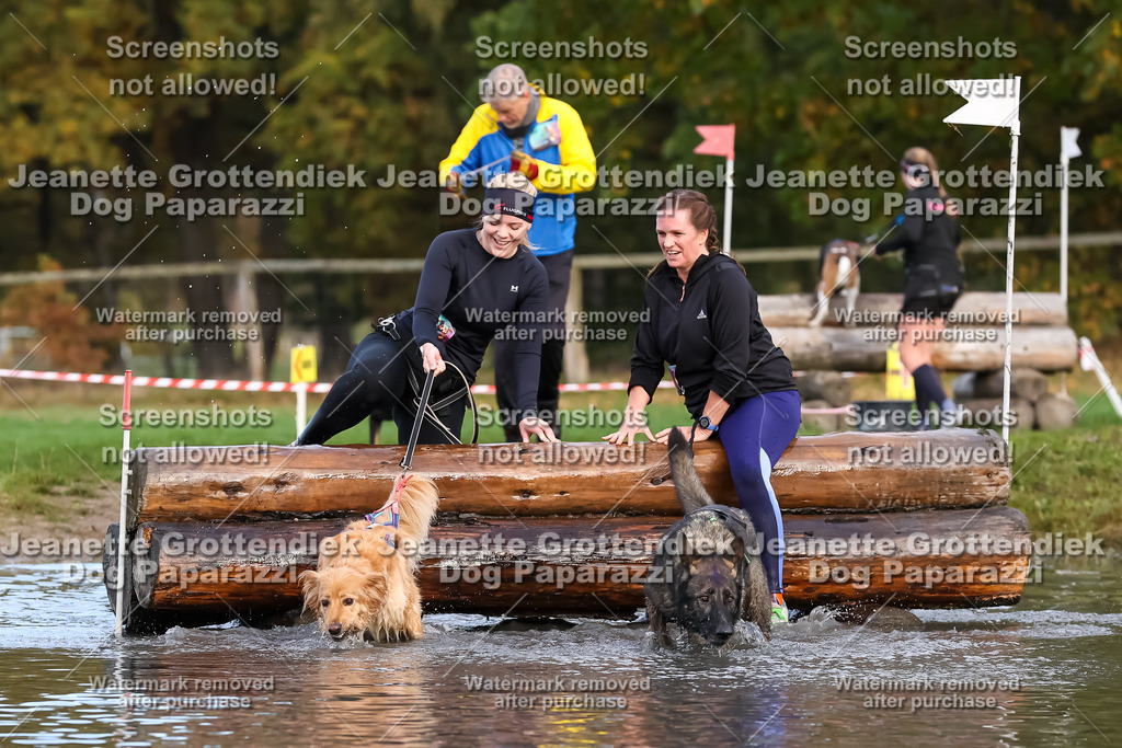 Dog Paparazzi - Strongdog 10-25-6965 | Dog Paparazzi Jeanette Grottendiek Fotografie & Videografie - Realisiert mit Pictrs.com