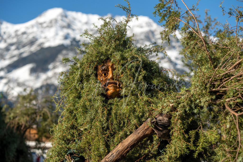 Rumer Muller | Umzug der Rumer Muller 2023