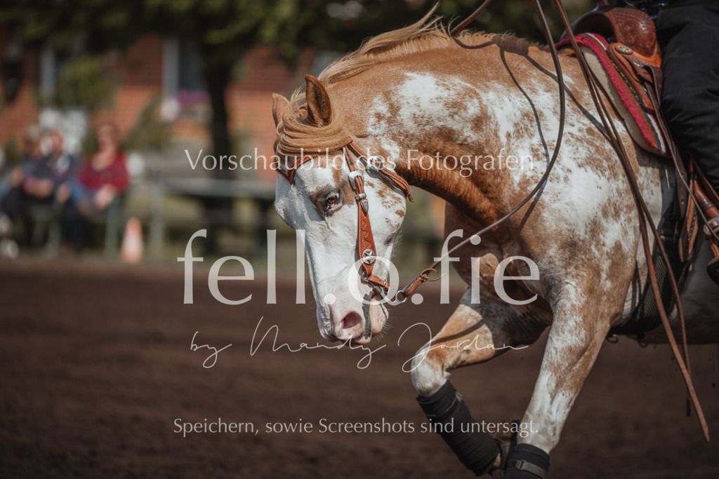 fell.o.fie_mandyjordan_2024_06_08879 | Mandy Klecke Fellfotografie, fell.o.fie Fotografenshop - Realisiert mit Pictrs.com