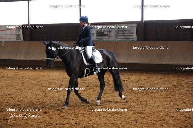 JugendTrophy0231 | Fotografie, Tiere, Hunde, Katzen, Pferde, Sportfotografie, Fotosession, Tierfotografie, Turnierfotografie, Fotografin, Fotograf - Realisiert mit Pictrs.com