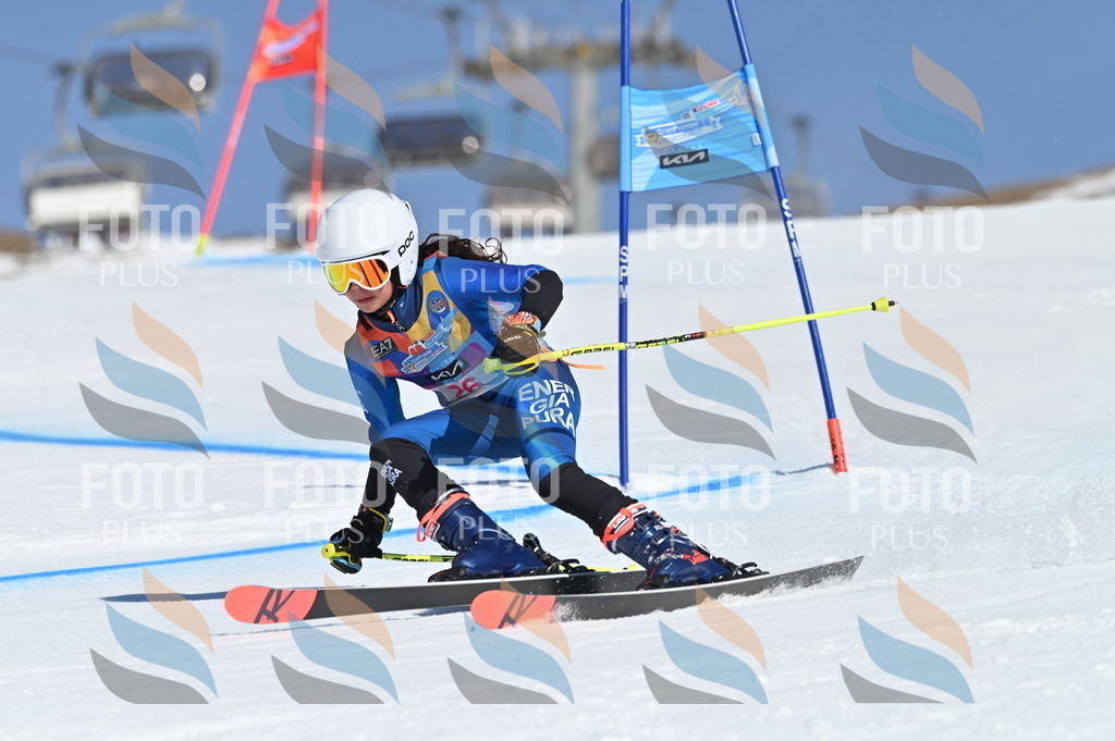 BGV_8079 | holidayphoto