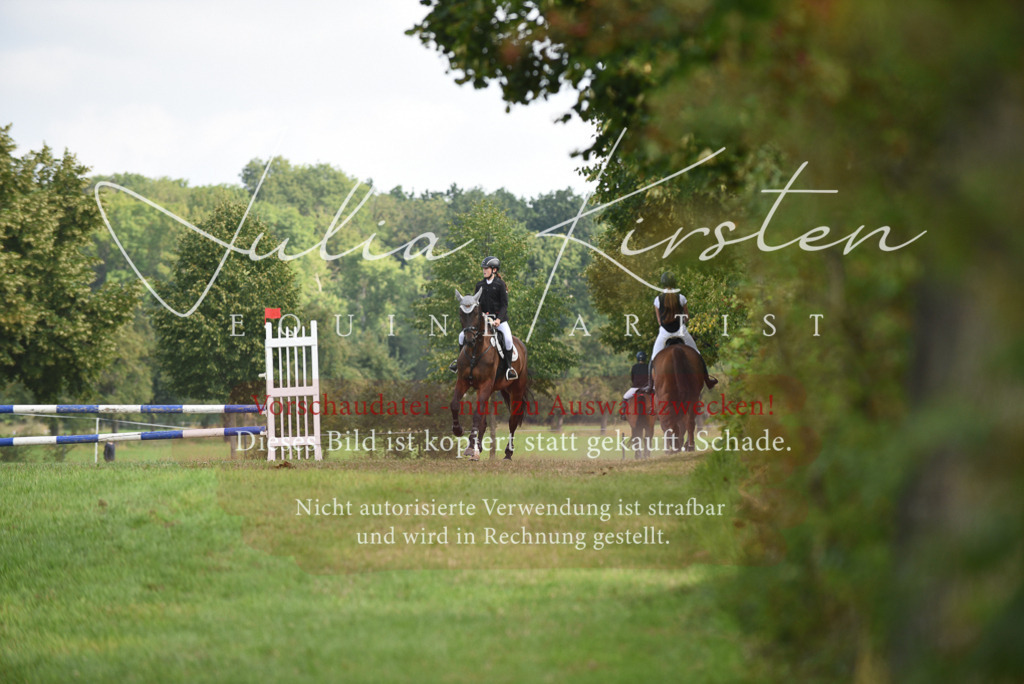 DSC_8619 | Pferde- und Turnierfotografie in Westsachsen. Pferdeportraits, Auftragszeichnungen und intuitive Kunst.