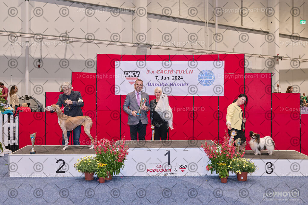 202406_ÖKV-IHA-Tulln24_NZ9_7784 | proPHOTO - Realisiert mit Pictrs.com