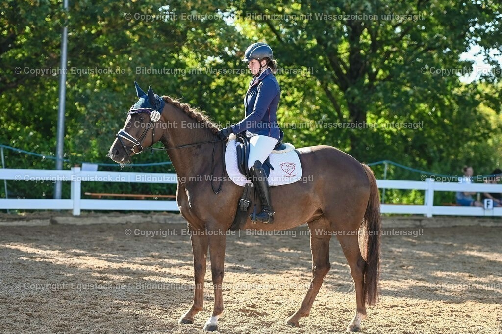 20230715_06_Dressurpferdeprfg. Kl.A_0161 | equistock