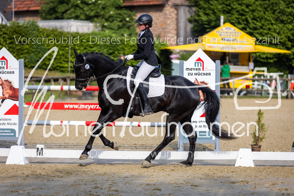 Donop24-A-Dre-093 | MomenTaufnahmen Pferdesportfotos