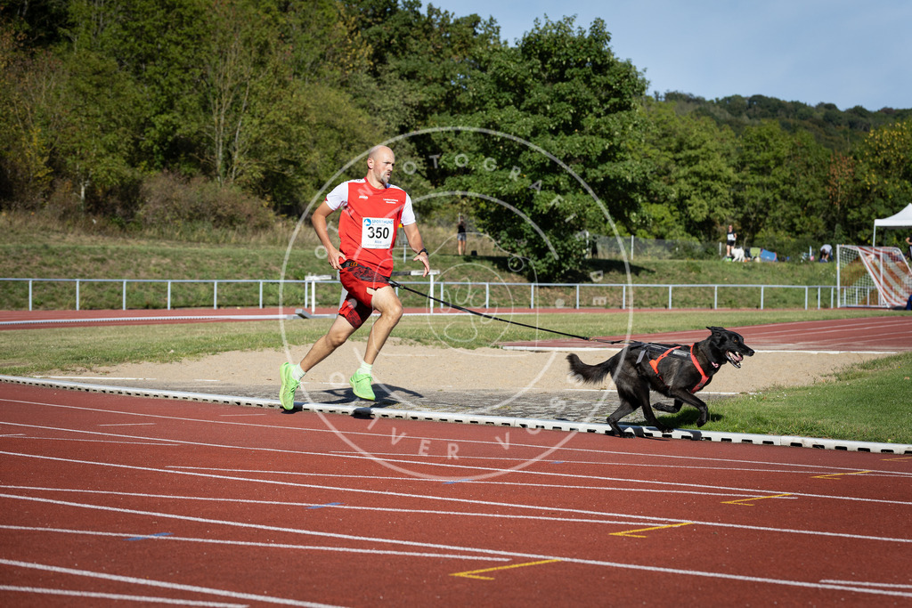 Pfotenfotografie_DV3A9392 | Hundefotografie, Tierfotograf, Pfotenfotografie, Fotoshooting Hund, Hunde Portrait, Hundesport, Hundeportraits, Heideshooting, Hunde, Sportfotograf, Hundefotograf, Turnierhundsport, THS,  - Realisiert mit Pictrs.com