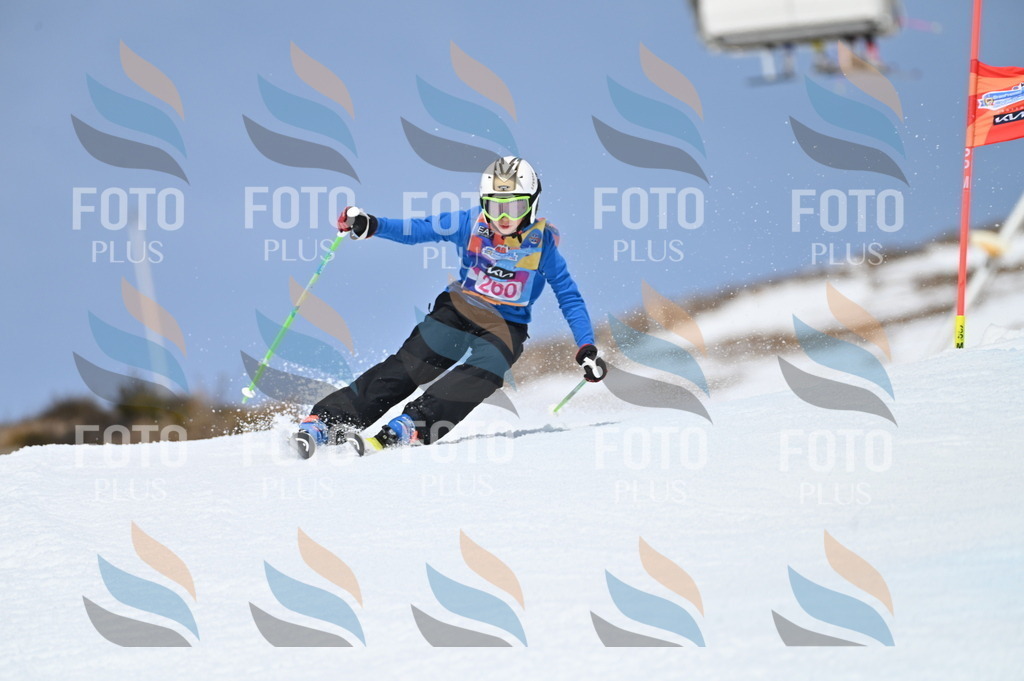 BGV_2062 | holidayphoto