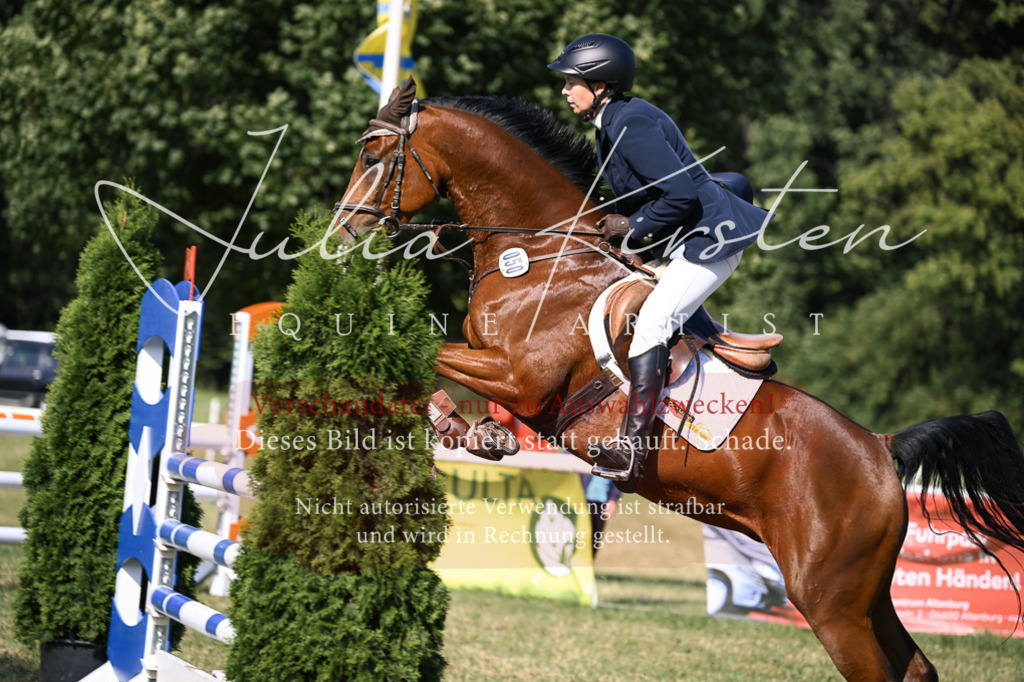 DSC_1258 | Pferde- und Turnierfotografie in Westsachsen. Pferdeportraits, Auftragszeichnungen und intuitive Kunst.