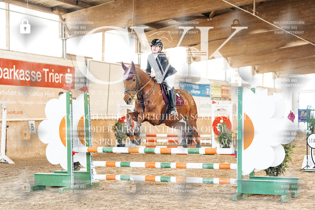 CK903862 | Turnierfotografie Pferdefotografie Trier Rheinland-Pfalz Pferdesport Reitsport Tierfotografie Sportfotografie Pferdevideo Pferdevideografie Equestrianvideography equestrianphotography  - Realisiert mit Pictrs.com