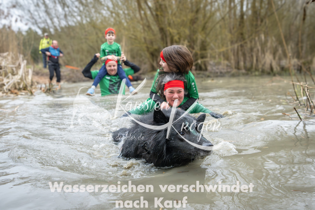 1336_ZZ90642 | kk-dogfotos