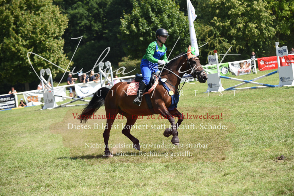 DSC_0263 | Pferde- und Turnierfotografie in Westsachsen. Pferdeportraits, Auftragszeichnungen und intuitive Kunst.