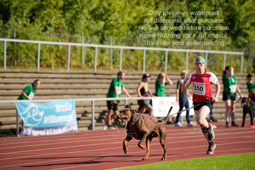 Sonntag_Staffel (151 von 336) | stephaniefillaphotographie - Realisiert mit Pictrs.com