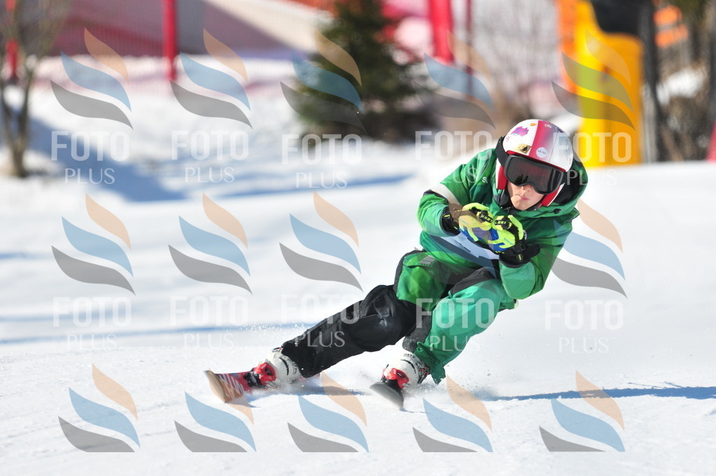 C2798 | holidayphoto