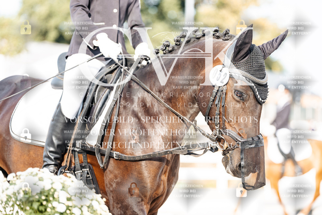 CK903852 | Turnierfotografie Pferdefotografie Trier Rheinland-Pfalz Pferdesport Reitsport Tierfotografie Sportfotografie Pferdevideo Pferdevideografie Equestrianvideography equestrianphotography  - Realisiert mit Pictrs.com
