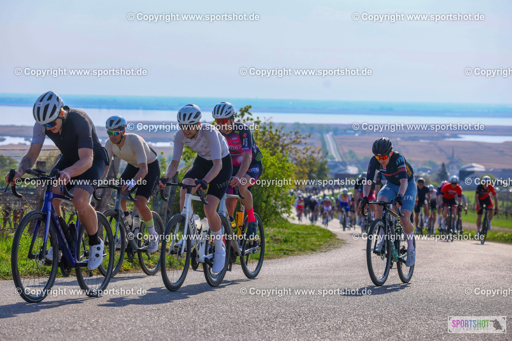 TRA_0074 | Neusiedlersee Radmarathon 2026@sportshot_your_pictrs #yourpictures#roadtowm2029 #nrm #neusiedlerseeradmarathon #neusiedlersee #neusiedlerseetourismus #burgenland #mörbisch #nrm26 #burgenlandtourismus #voglundco #poweredbyburgenlandtourismus #radsport #rad #marathon #ucigranfondo #visitburgenland #ucigranfondoworldseries