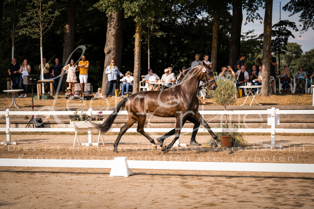 FrER00154 | Leoni Ertmer Photography - Realisiert mit Pictrs.com