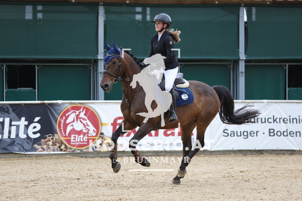 0P6A3048 | Willkommen bei Brunnmayr - Design & Fotografie – Ihrem Spezialisten für Reitturniere und Pferdeveranstaltungen in Oberösterreich, Salzburg und Bayern! Seit über 17 Jahren sind wir leidenschaftlich dabei.