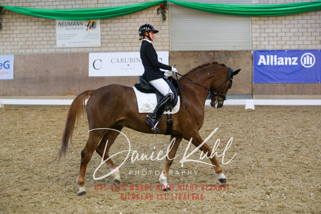 IMG_2942 | Turnierfotos kaufen im Webshop von Daniel Kuhl Photography – entdecke professionelle Reitsportfotos aus Turnieren & Events. Hochwertige Turnierbilder online bestellen & sichern. Jetzt Fotos von Reitsportturnieren kaufen!