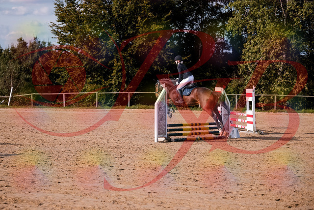 2026_10_03_Siefer-Hof_154110_Z81_57359801 | Professionelle Reitsport-, Turnier- und Eventfotografie von Robert Broda. Galerien mit ausgewählten und bearbeiteten Bildern direkt online ansehen und bestellen.