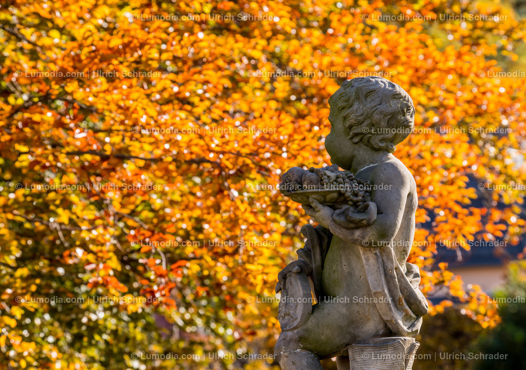 100494-3953 - Barockgarten Blankenburg | max. Bildgröße A2 | 300dpi - Realisiert mit Pictrs.com