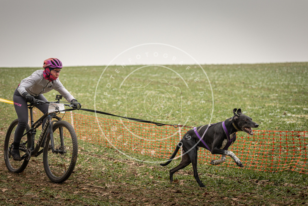 Pfotenfotografie_DV3A3536 | Hundefotografie, Tierfotograf, Pfotenfotografie, Fotoshooting Hund, Hunde Portrait, Hundesport, Hundeportraits, Heideshooting, Hunde, Sportfotograf, Hundefotograf, Turnierhundsport, THS,  - Realisiert mit Pictrs.com