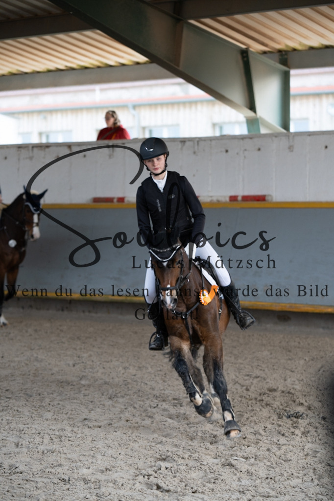 A7V04388 | Pferdefotograf