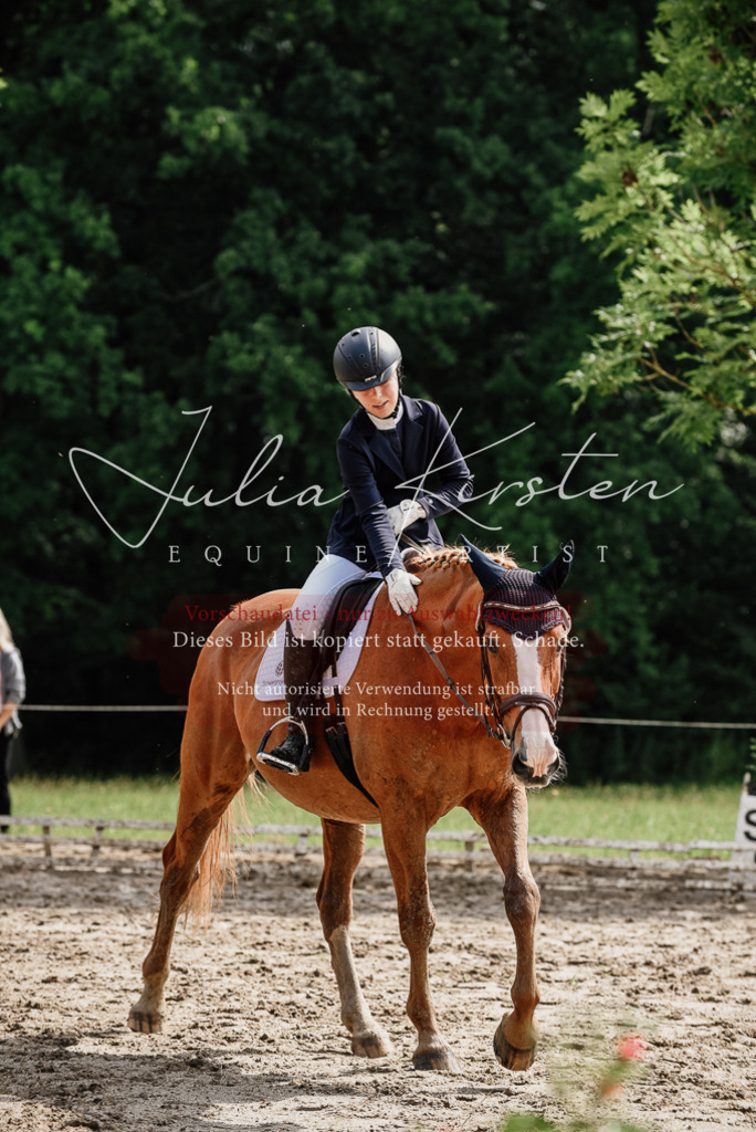 DSC_0053 | Pferde- und Turnierfotografie in Westsachsen. Pferdeportraits, Auftragszeichnungen und intuitive Kunst.