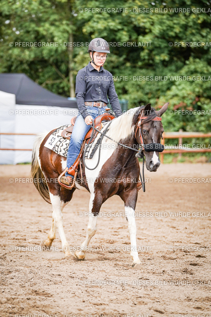 DSC07829 | Pferdegrafie