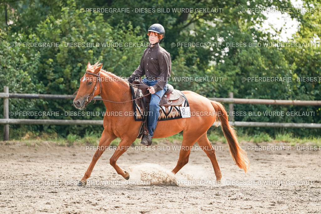 DSC04822 | Pferdegrafie