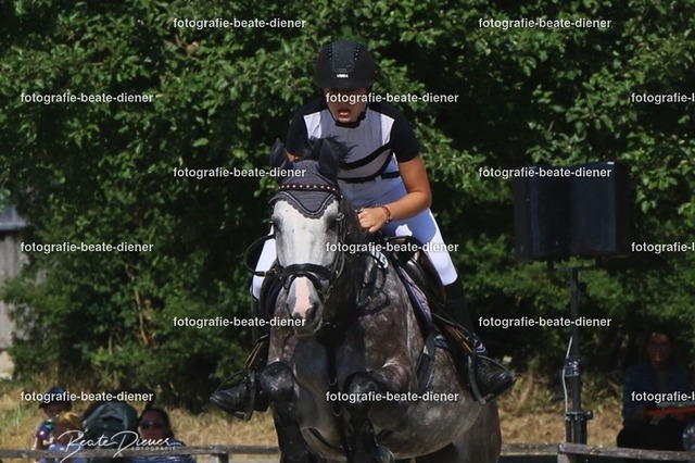 Zeit L (19) | Fotografie, Tiere, Hunde, Katzen, Pferde, Sportfotografie, Fotosession, Tierfotografie, Turnierfotografie, Fotografin, Fotograf - Realisiert mit Pictrs.com